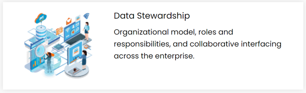 Data Strategy Consulting Stewardship